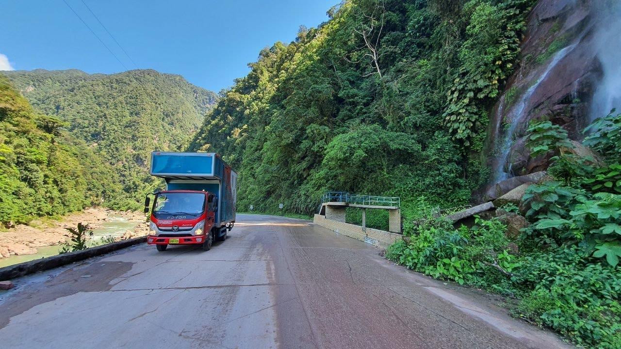 Transporte avícola